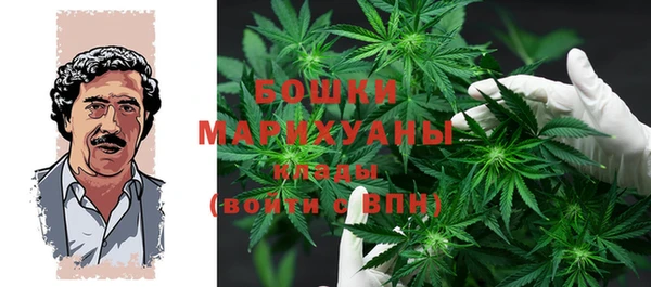 прущие грибы Покачи