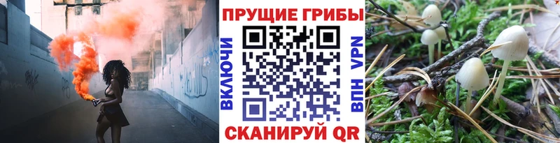 Галлюциногенные грибы мицелий даркнет сайт darknet клад Мурино