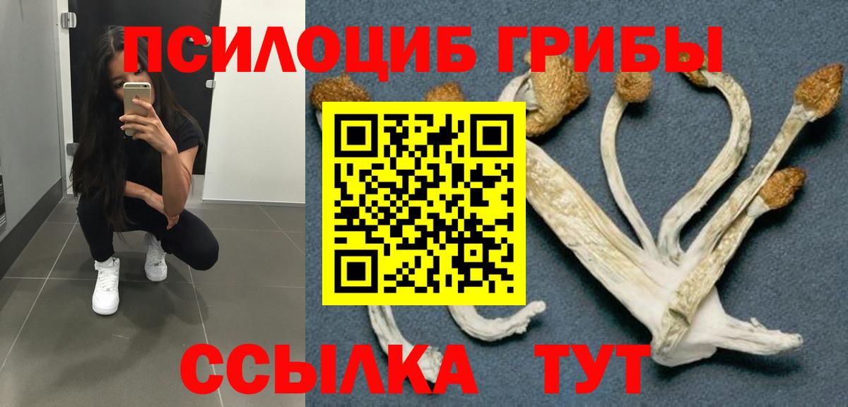Галлюциногенные грибы Magic Shrooms  Вход с VPN  Мурино  Галлюциногенные грибы мухоморы 