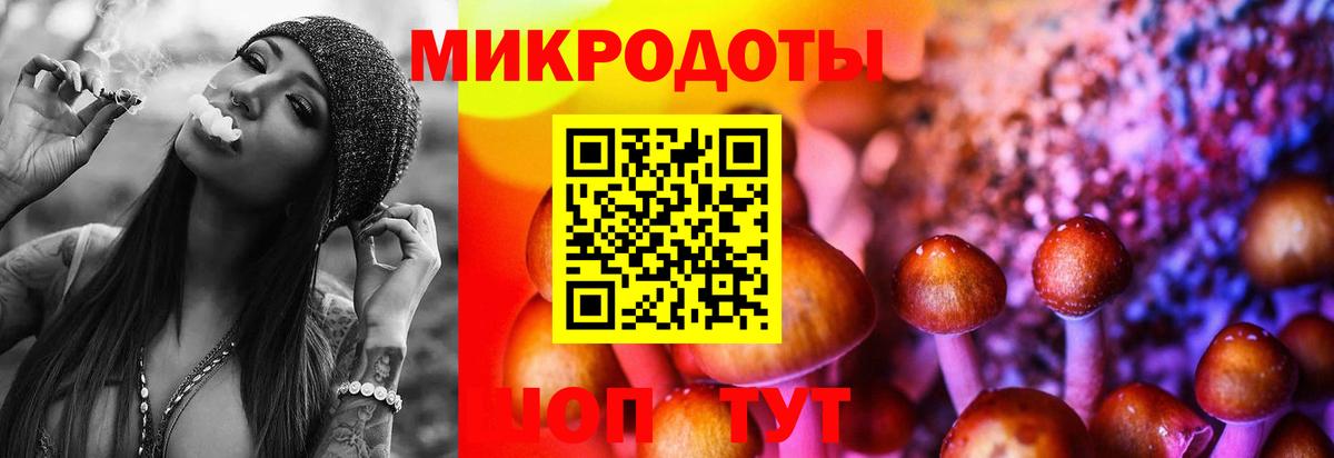 Псилоцибиновые грибы мицелий Мурино